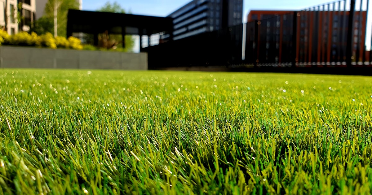 Well-maintained lawn with modern electric lawn mower and sprinkler system